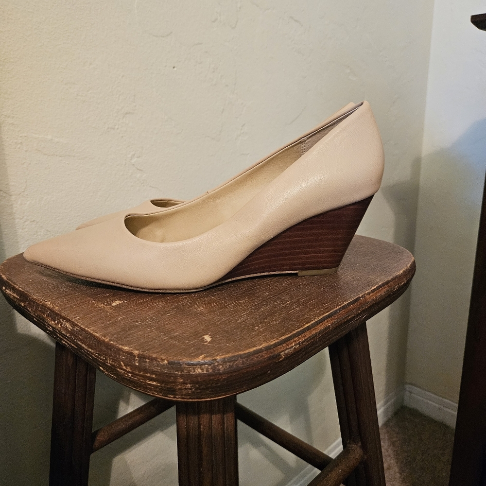 Neutral Wedge Pumps